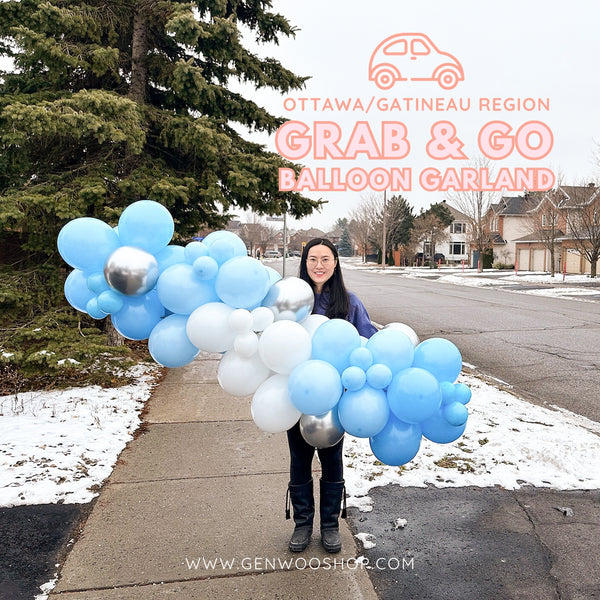 Ottawa Balloon - GenWoo Studio