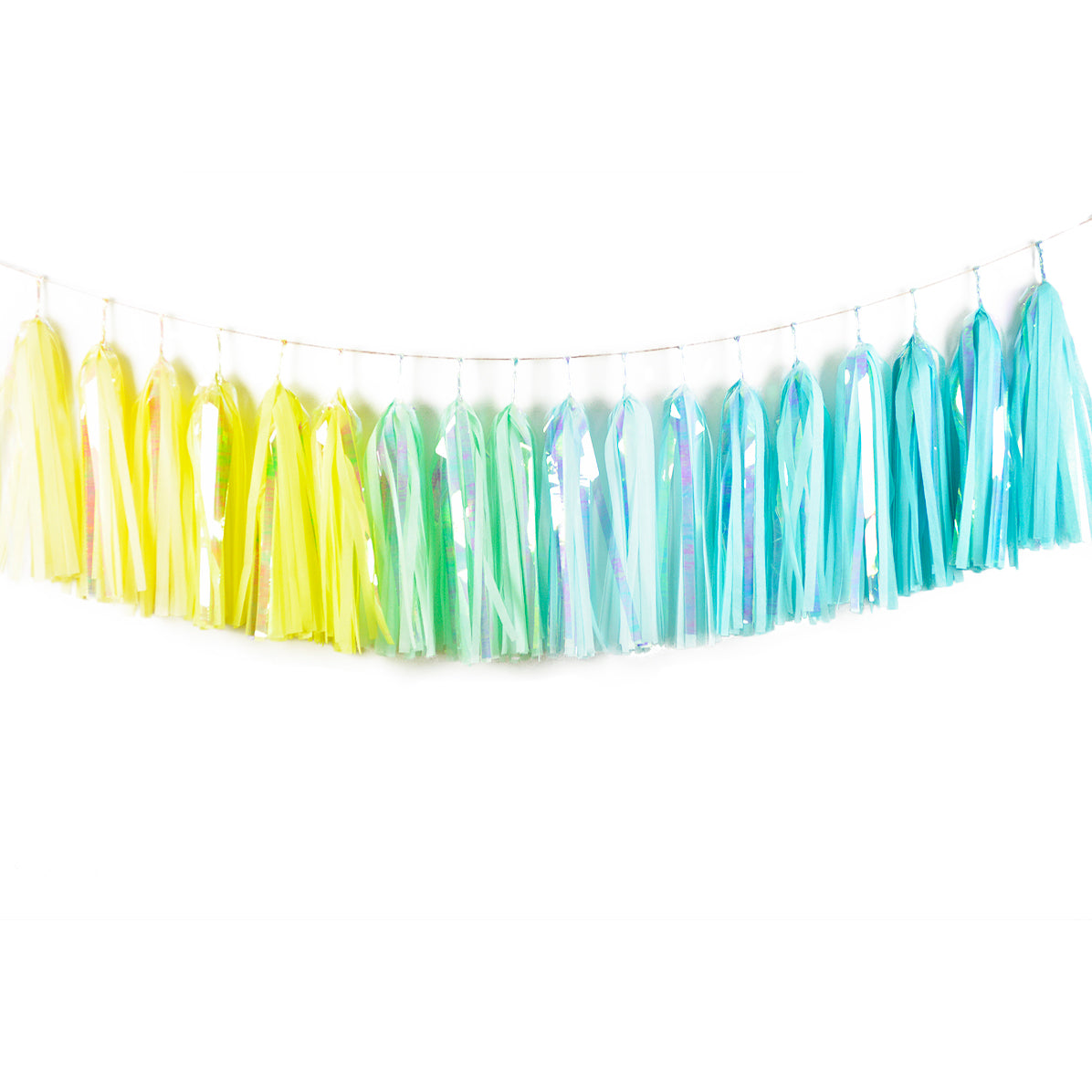 Iridescent Narwhal Tassel Garland